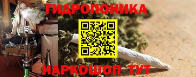 прущие грибы Рузаевка