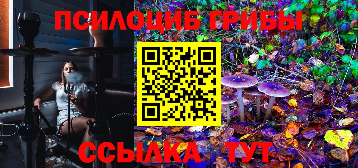 Псилоцибиновые грибы Psilocybine cubensis Сосновый Бор