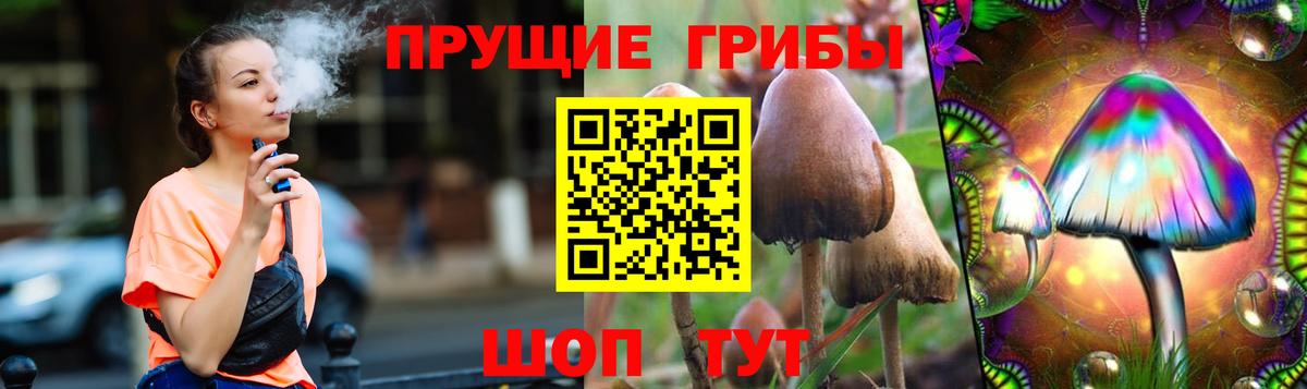 Галлюциногенные грибы MAGIC MUSHROOMS  Галлюциногенные грибы мицелий  Сосновый Бор  Вход с VPN 
